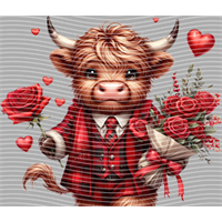 Valentine's Day-QRJ  787